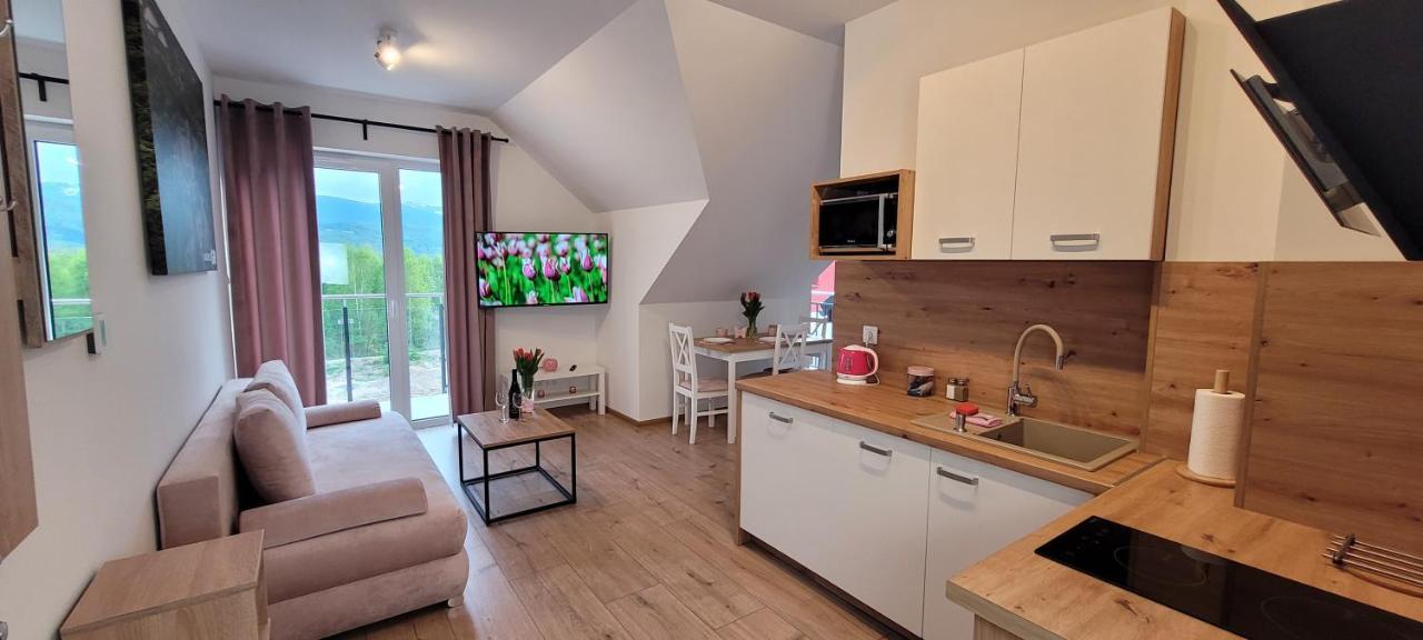 Kolorowe Cieplice - Apartamenty Z Widokiem Na Karkonosze イェレニャ・グーラ エクステリア 写真