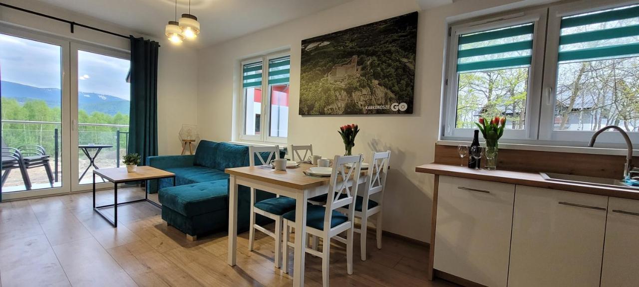 Kolorowe Cieplice - Apartamenty Z Widokiem Na Karkonosze イェレニャ・グーラ エクステリア 写真