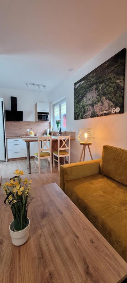 Kolorowe Cieplice - Apartamenty Z Widokiem Na Karkonosze イェレニャ・グーラ エクステリア 写真