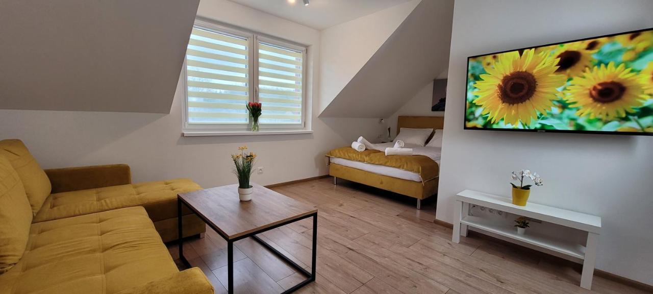 Kolorowe Cieplice - Apartamenty Z Widokiem Na Karkonosze イェレニャ・グーラ エクステリア 写真