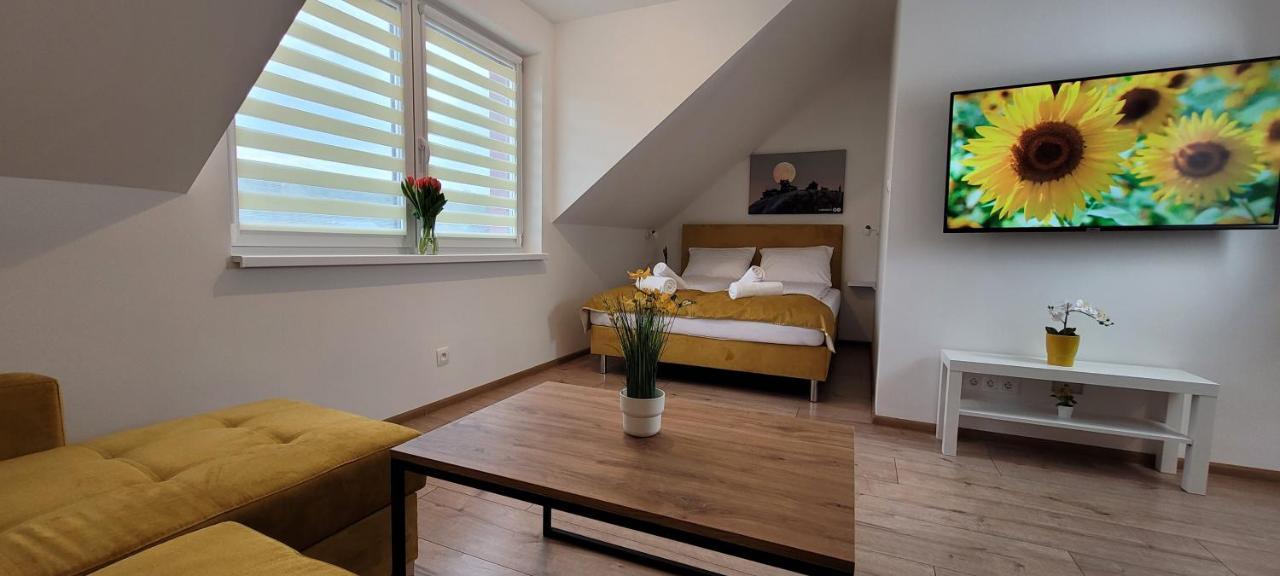 Kolorowe Cieplice - Apartamenty Z Widokiem Na Karkonosze イェレニャ・グーラ エクステリア 写真